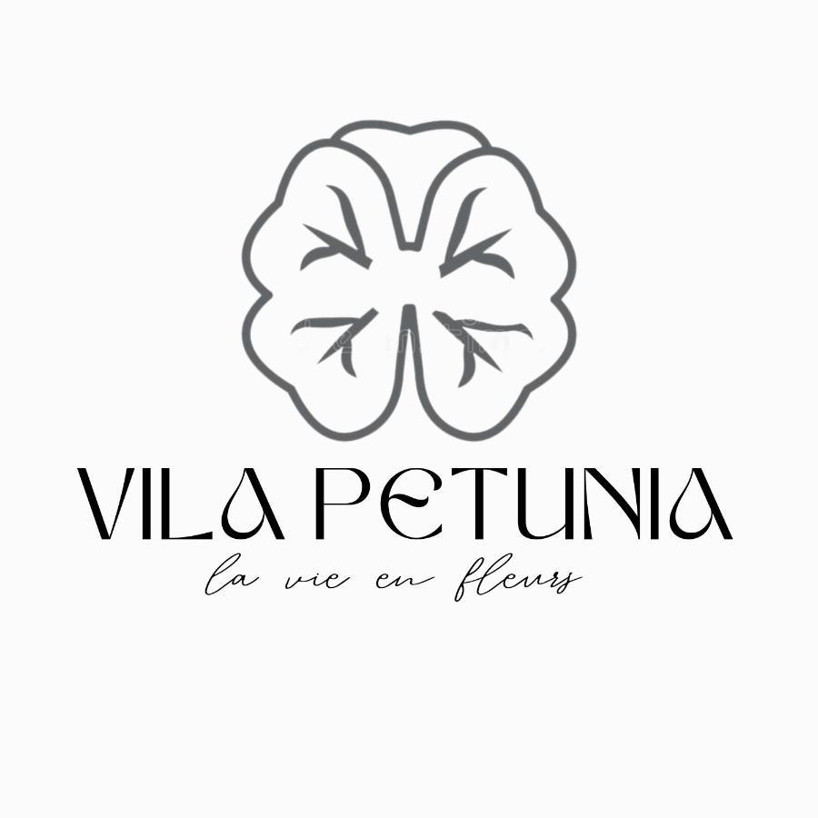 Vila Petunija 谢尼察 外观 照片